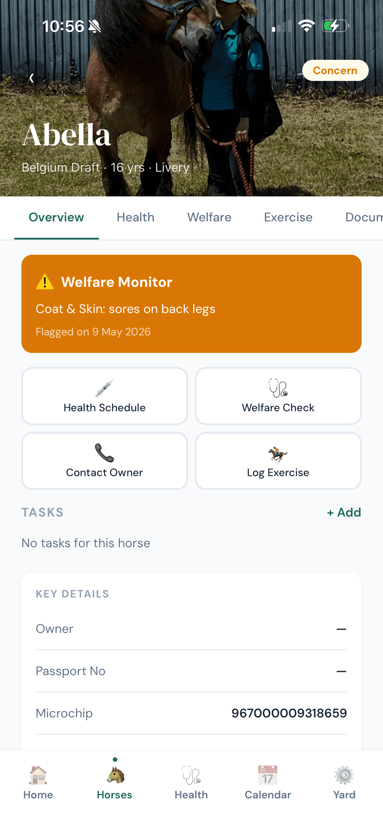 Horse profile screen showing an active welfare monitor alert for coat and skin sores